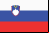 /res/image/country_flags/si.png